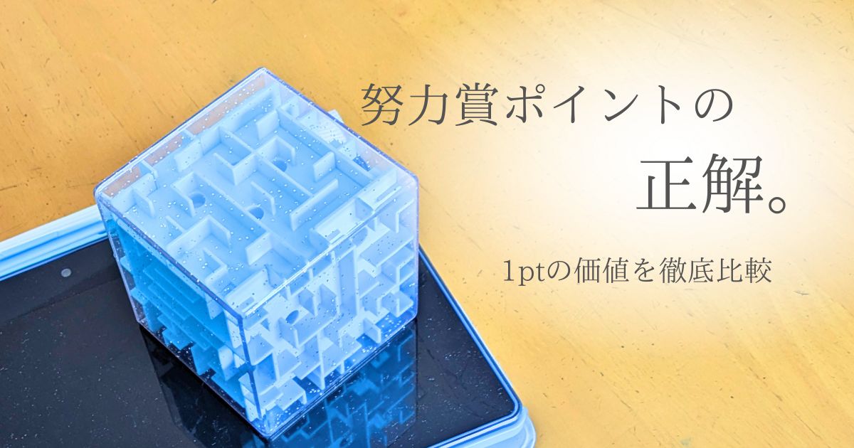 チャレンジパッドと努力賞ポイントで交換した「まわせ！ころがせ！立体迷路」の画像。
